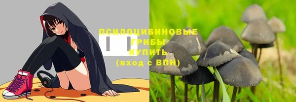 стафф Михайловск