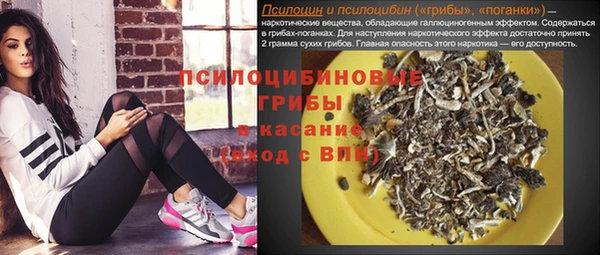 кокс Кинешма