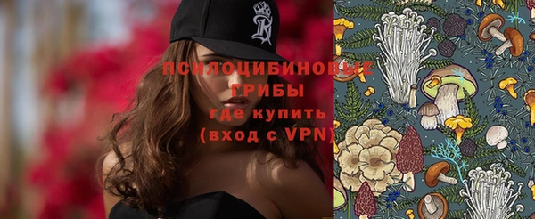 Альфа ПВП Карпинск