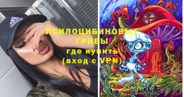 ECSTASY Каменногорск